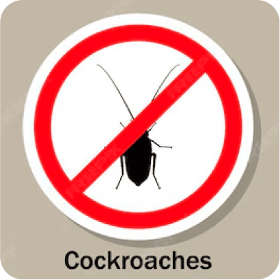 Cockroach Control