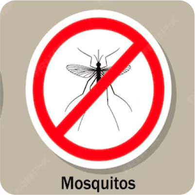 Mosquitos